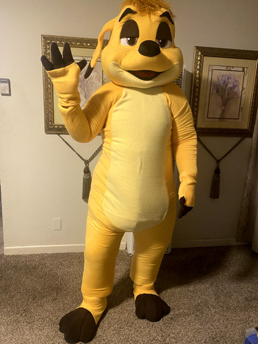 Timon animal mascot costume - mascot,