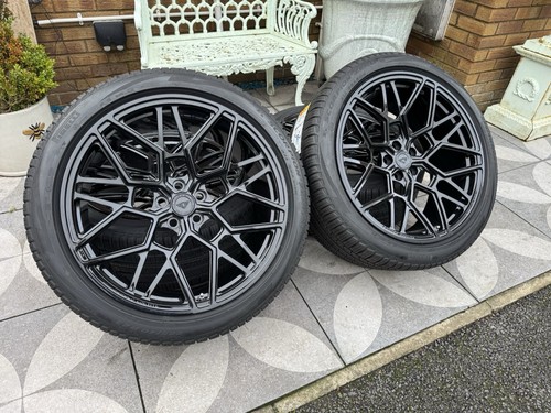 Genuine urban vossen 1 - vossen, uv-1