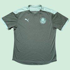 Palmeiras PUMA Training Shirt