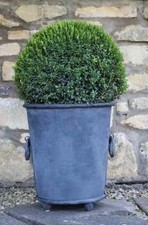 Galvanised  planter  - Zinc pots & planters - ring handle bucket. 59 cm