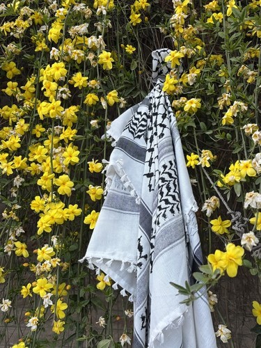 Traditional palestinian - traditional,