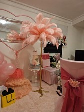 Ostrich Feather Floor Lamp