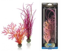 Fish Tank Plants - OASE BIORB 30 BIUBE PINK EASY PLANT Pack OF 2 MEDIUM