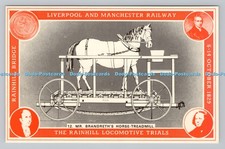 R810684 Mr. Brandreth Horse