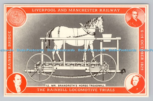 R810684 brandreth horse - r810684,