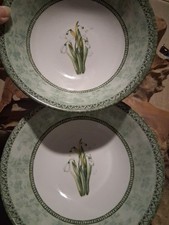 Johnson Brothers - Spring