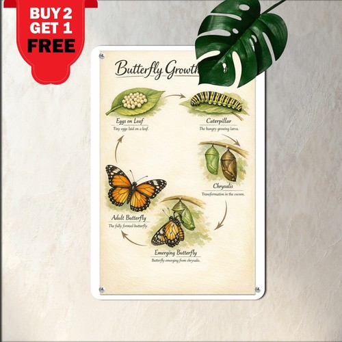 Life cycle bee honeybee - a,