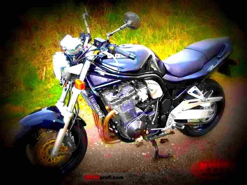 Suzuki gsf 1200 - gsf, n