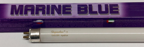 39w marine blue - t5,