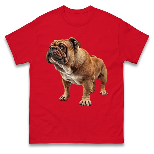 French mastiff dogue - mastiff,