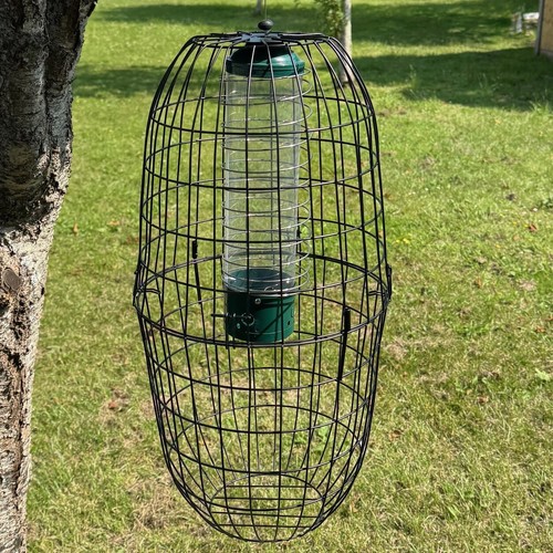 Large squirrel proof - squirrel, hanging