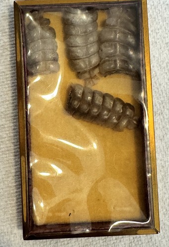 Vintage display case with - case,