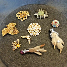 Brooch Bundle Costume