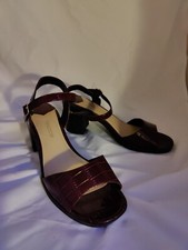 Ladies Peacocks Tortoise Shell