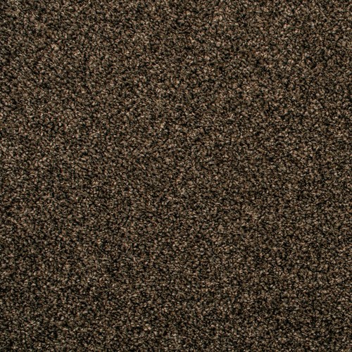 Rich brown almeria - brown, saxony