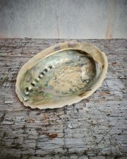 Large Abalone Shell Dish