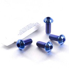 Titanium Pillion Footrest