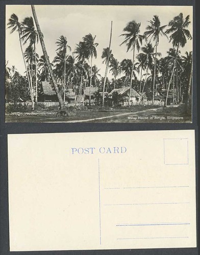 Singapore old real photo - old,