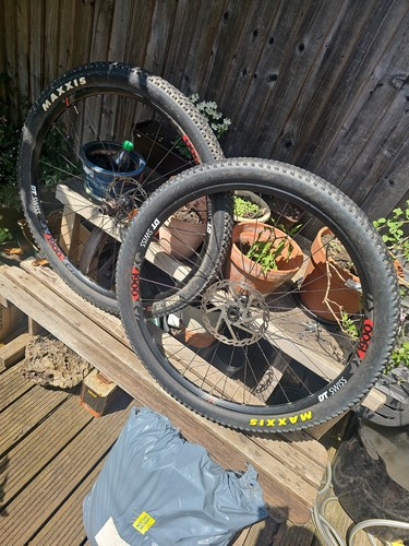 Swiss x1900 wheelset 29 - wheelset,