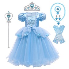 Cinderella Princess Fancy