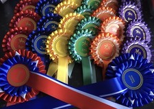 Complete Show pack horse