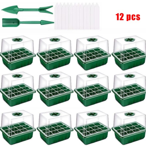 Pack 144 holes seed - seed, starter