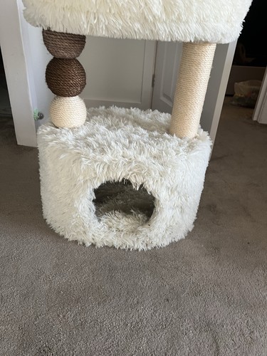 Cardboard cat house double - cat,