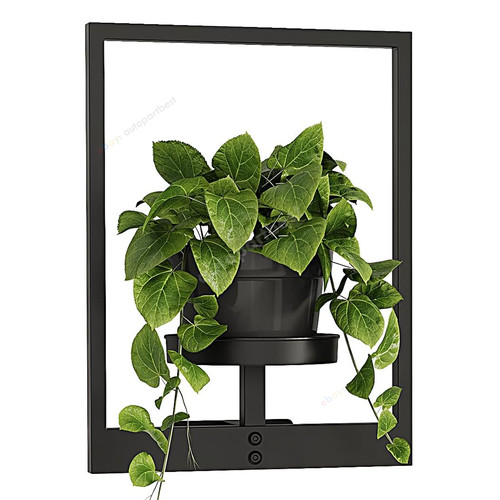 Wall mounted plant - mounted,