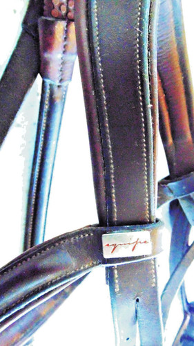 Equipe rolled browband - equipe,