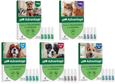 Spot On Flea Treatment for S M L XL Dogs Cats, and Rabbits Fast Acting, 4 Pack