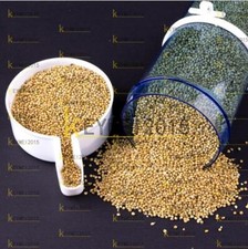 Bird Feeder Food Water Feeding