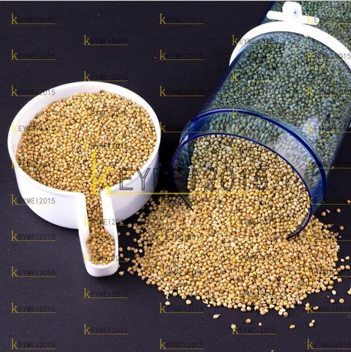 Bird feeder food water - bird, feeding