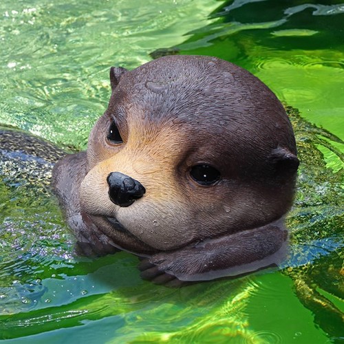 Floating otter pond - floating,