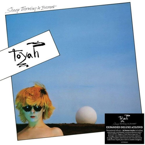 Toyah sheep farming in - -,