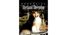 The Essential Shetland