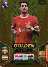 Panini Premier League