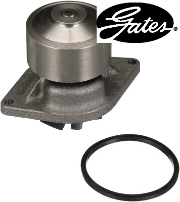 Water pump fits - pump, (with