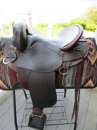 Qh bars riders - bars,