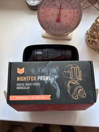 Night fox prowl digital - fox,