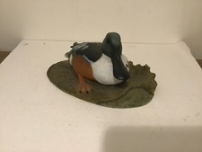 Very Rare Wade North Light Shoveler Duck Prototype Ex Condition