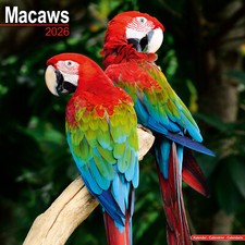 Macaws 2026 Calendar Bird Gift