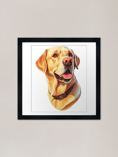 Yellow labrador retriever cute - yellow,