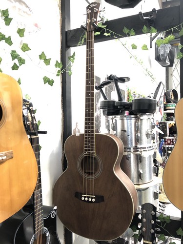 Tokai acoustic bass pro setup - bass,