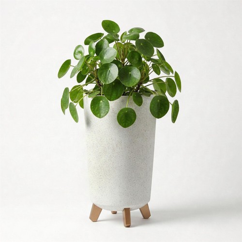 Tall plant pot - tall, legs