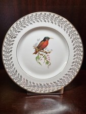 Decorative Bird Plate - LIVERPOOL ROAD POTTERY Stoke On Trent