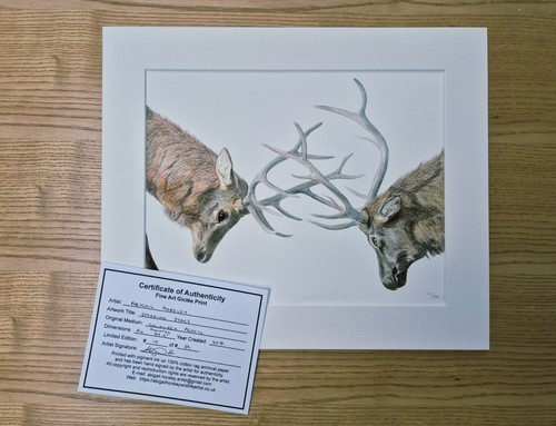 Sparring stags limited edition - stags,