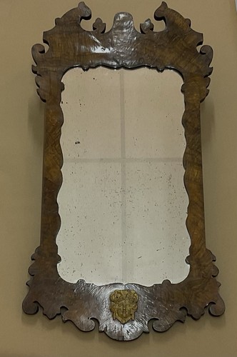 Antique georgian burr walnut - antique,
