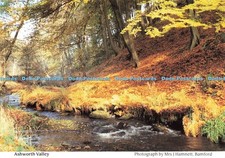 D216184 Ashworth Valley