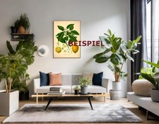 Ricinus communis.  90x60cm