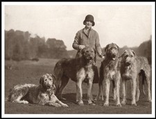 IRISH WOLFHOUND LADY AND DOGS